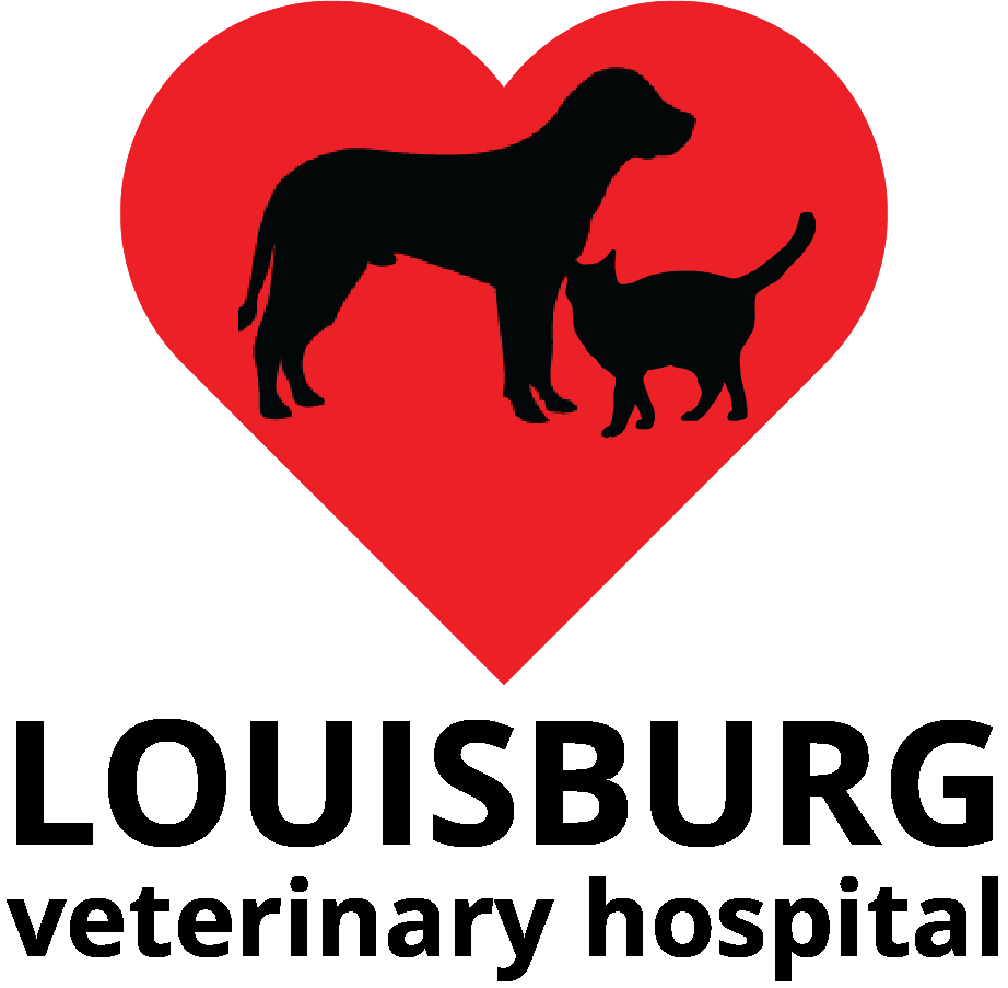 Pet Knowledge Center Louisburg Veterinary Hospital